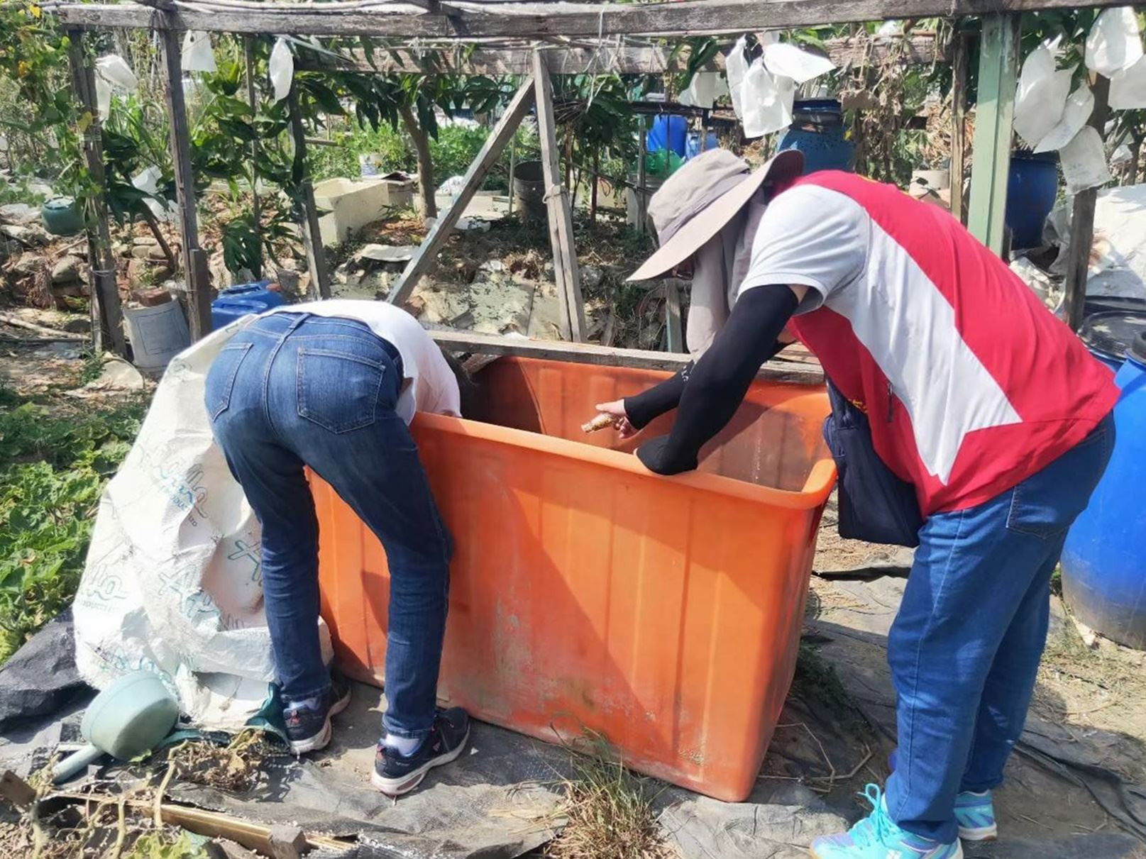 0_菜園儲水容器清理 _3_.jpg