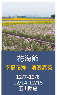 12/7-12/8 12/14-12/15花海節