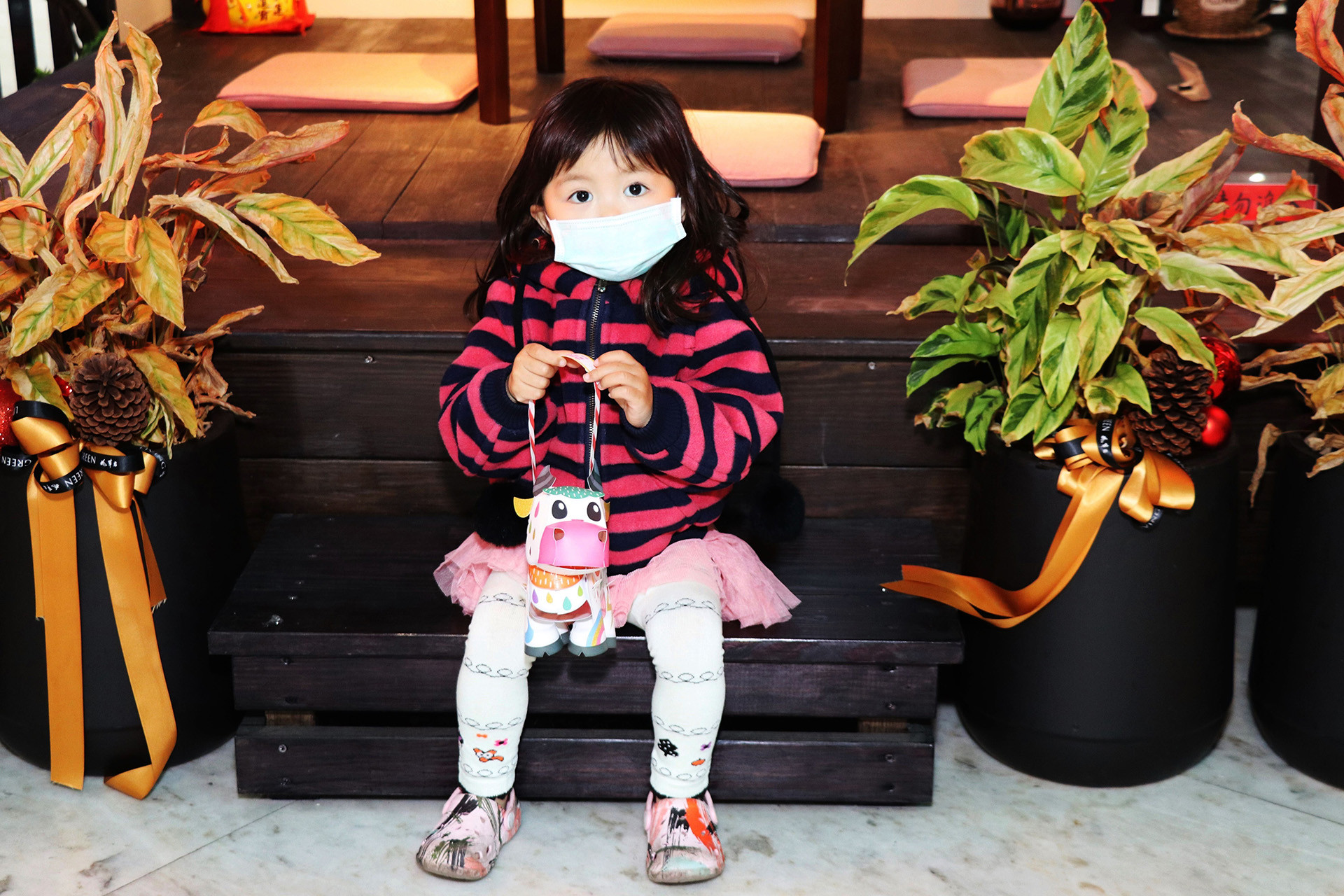 0_虹彩小牛提燈 _6_.JPG