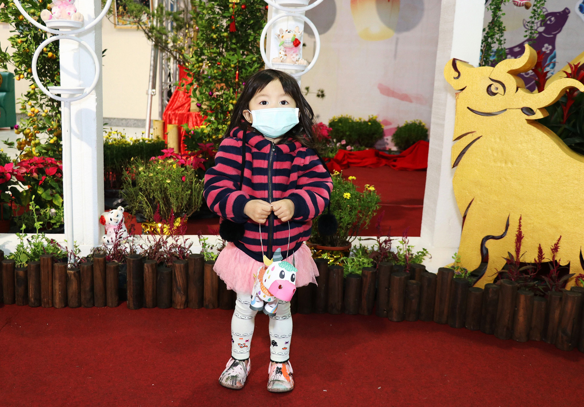 0_虹彩小牛提燈 _5_.JPG