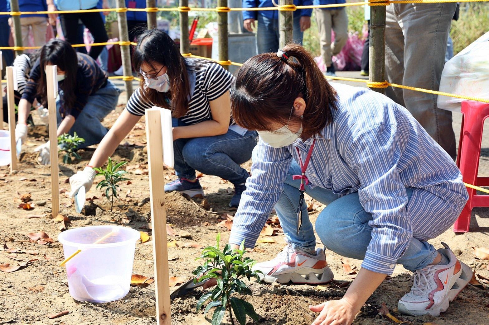 醫護同仁共同植樹