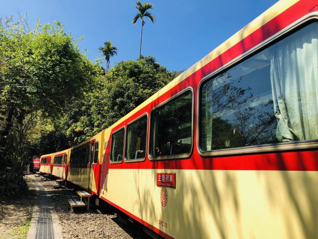 阿里山林鐵加強防疫 自109年4月15日至6月30日暫停開行主題列車